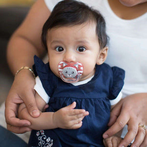 Dr Brown's PreVent Animal Soother Pacifiers