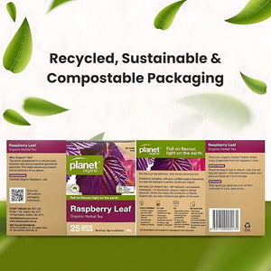 Planet Organic Raspberry Leaf Tea Bags Tea